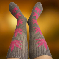Skarpety Bawełniane Szare z Fuksjowymi Liśćmi Konopi Unisex